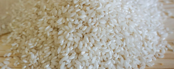 riz pour risotto